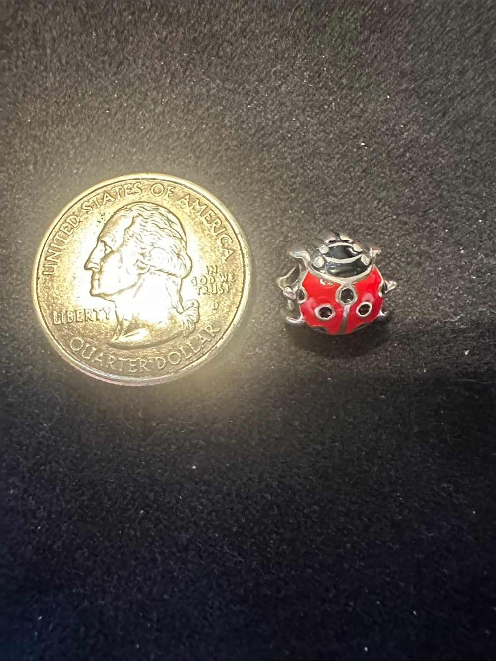 Red Ladybug bracelet Charm Accessory